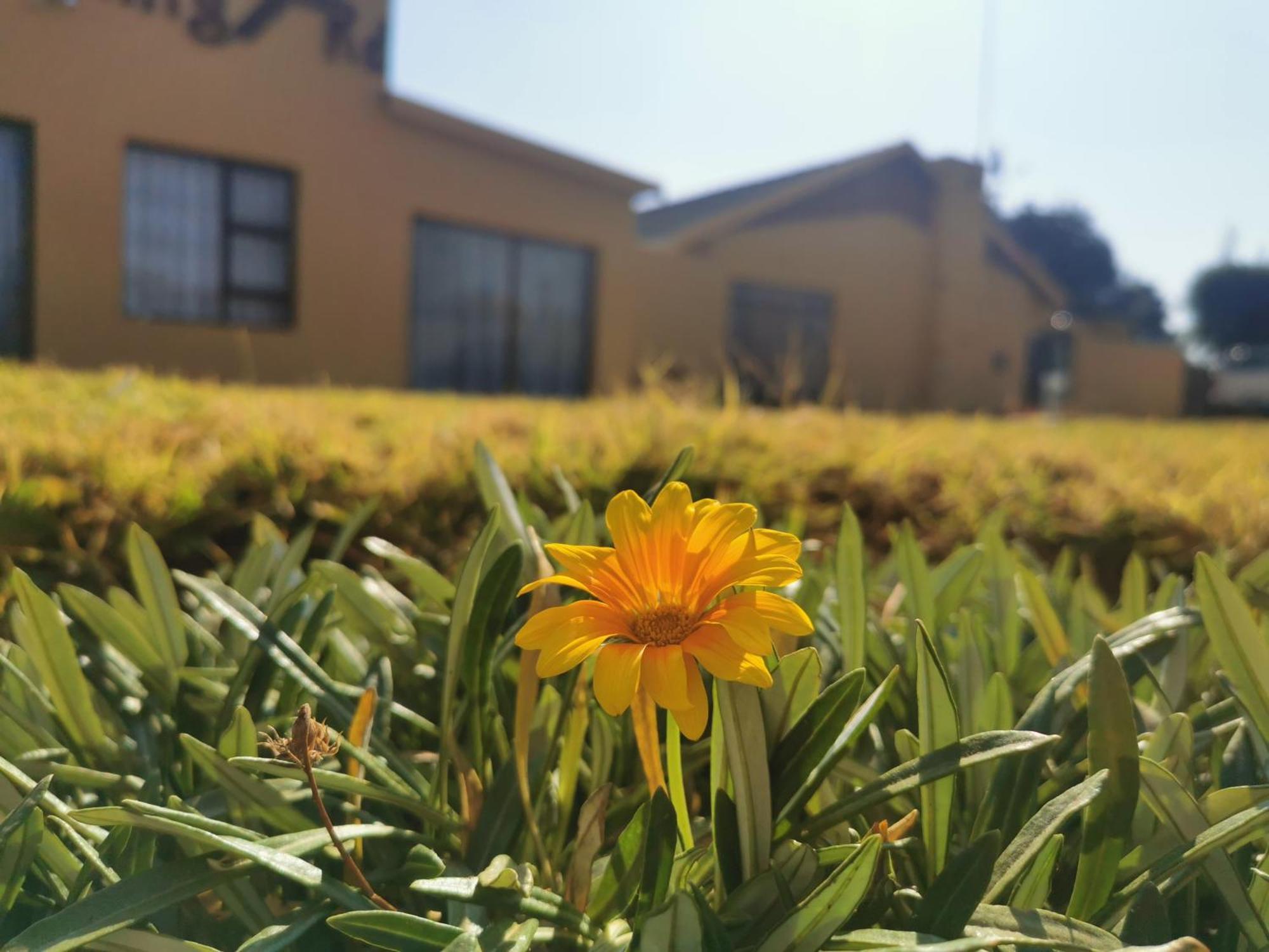 The Yellow Butterfly Vereeniging Exterior foto
